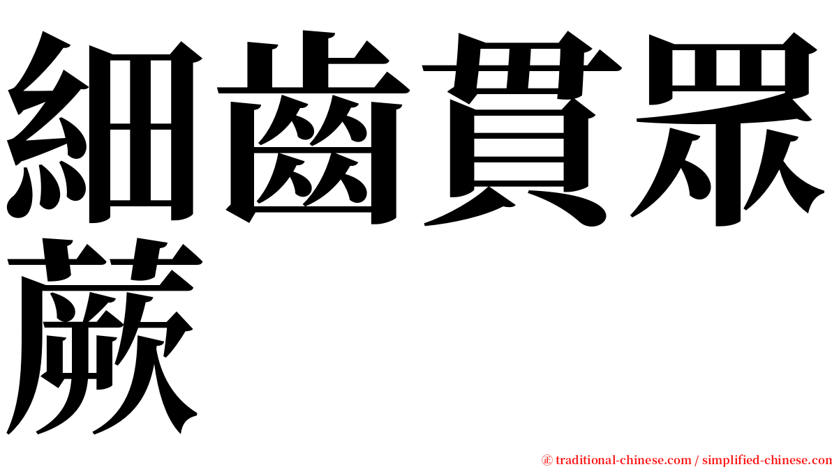 細齒貫眾蕨 serif font