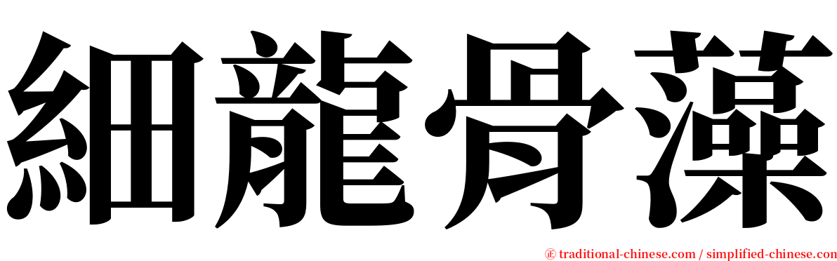 細龍骨藻 serif font