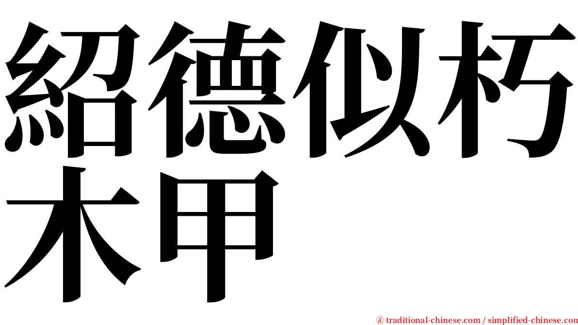 紹德似朽木甲 serif font