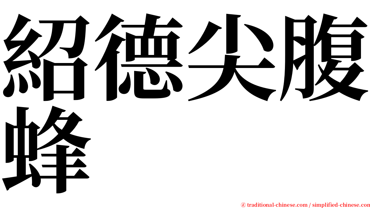 紹德尖腹蜂 serif font