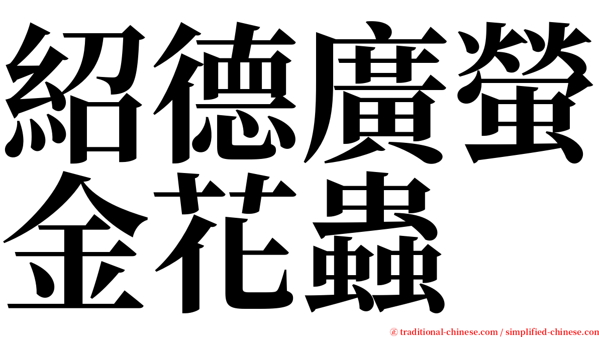 紹德廣螢金花蟲 serif font