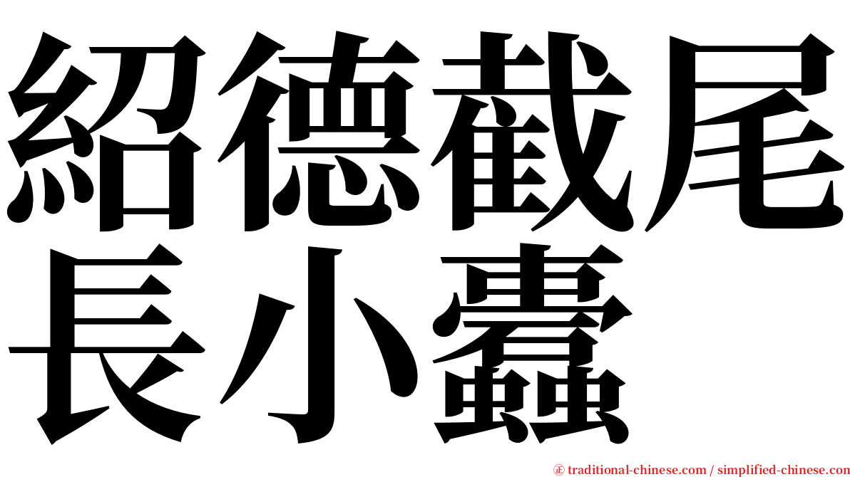 紹德截尾長小蠹 serif font