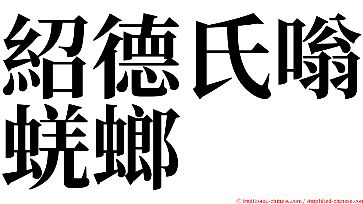 紹德氏嗡蜣螂 serif font