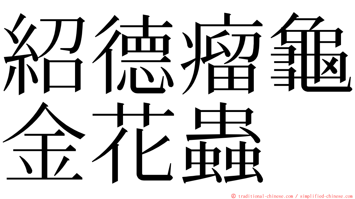 紹德瘤龜金花蟲 ming font