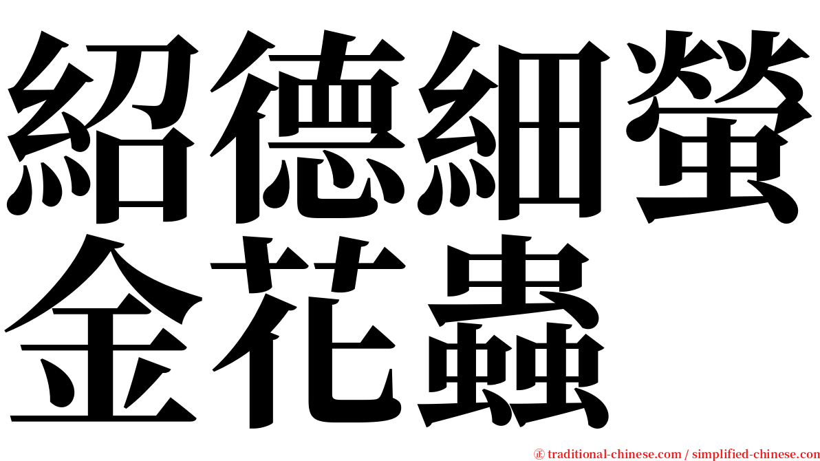 紹德細螢金花蟲 serif font