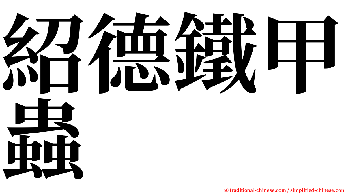 紹德鐵甲蟲 serif font