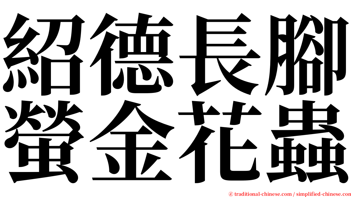 紹德長腳螢金花蟲 serif font