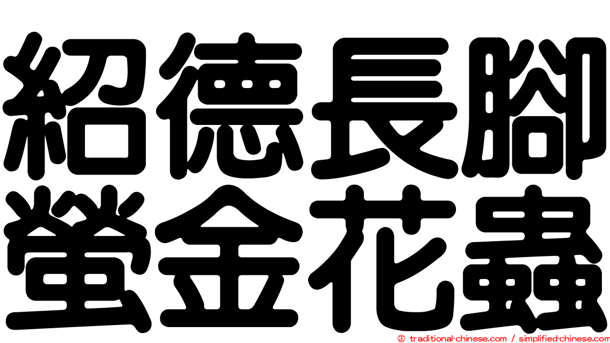 紹德長腳螢金花蟲