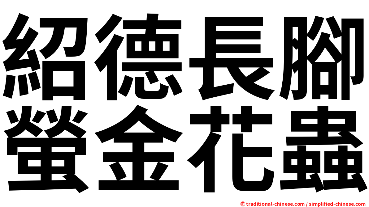 紹德長腳螢金花蟲