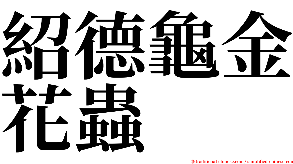 紹德龜金花蟲 serif font