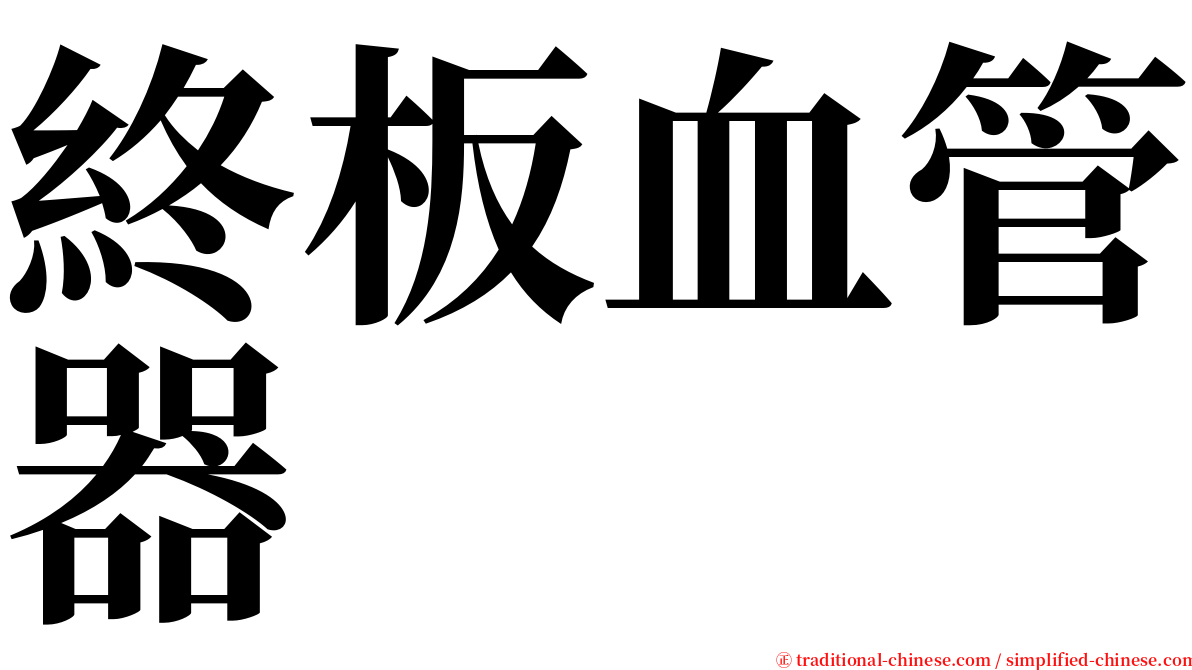 終板血管器 serif font