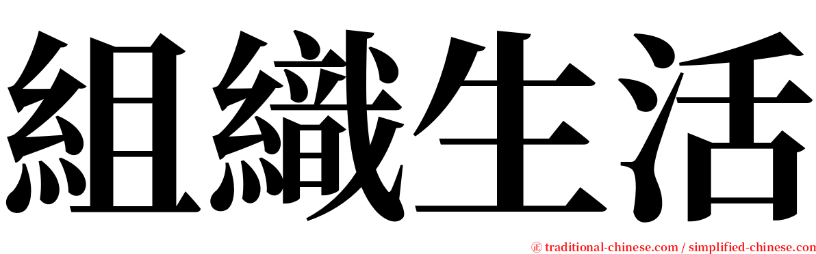 組織生活 serif font