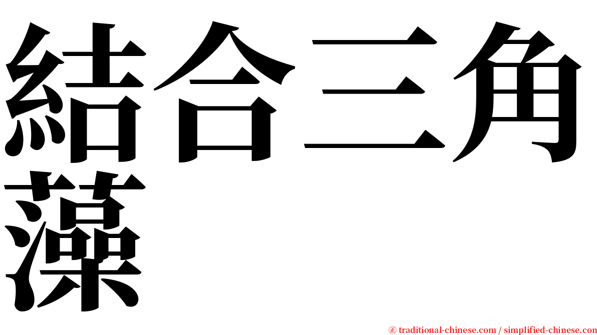 結合三角藻 serif font