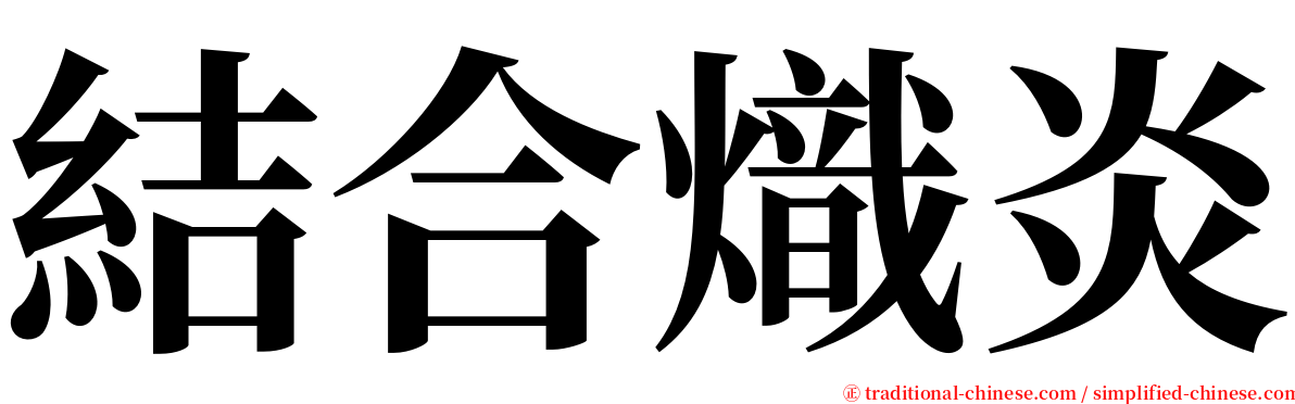 結合熾炎 serif font