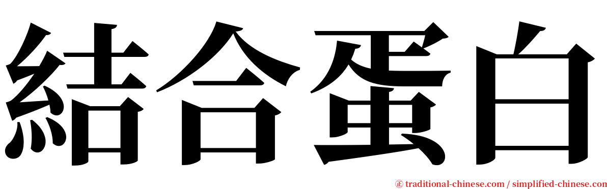 結合蛋白 serif font