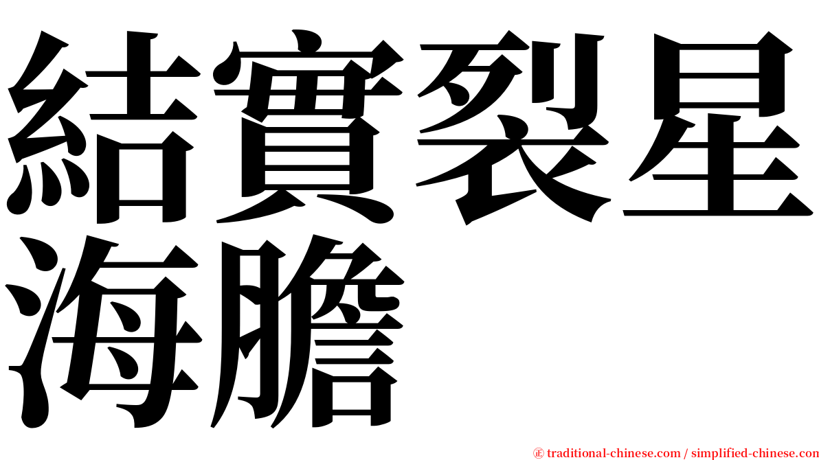 結實裂星海膽 serif font