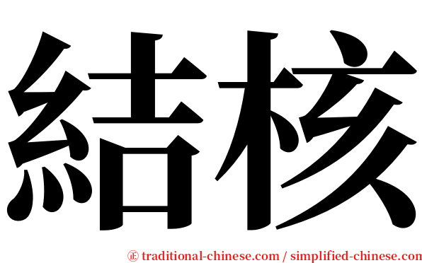 結核 serif font