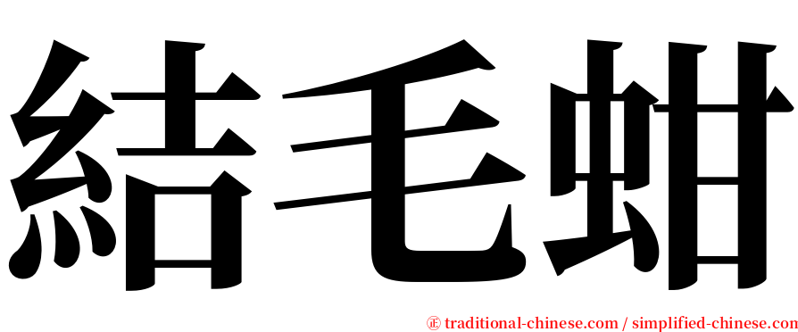 結毛蚶 serif font