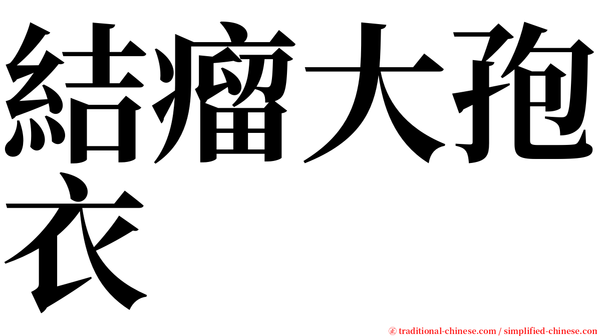 結瘤大孢衣 serif font