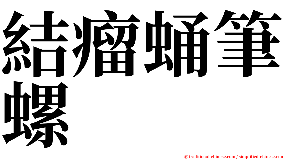 結瘤蛹筆螺 serif font