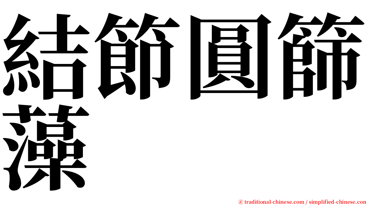 結節圓篩藻 serif font