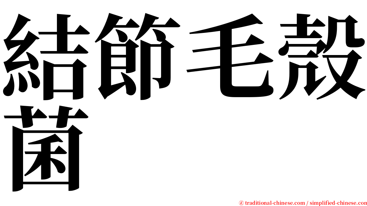 結節毛殼菌 serif font