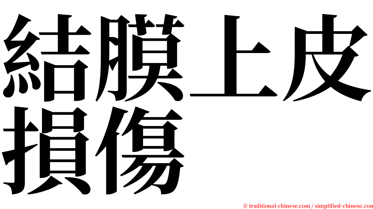 結膜上皮損傷 serif font