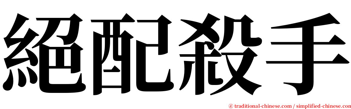 絕配殺手 serif font