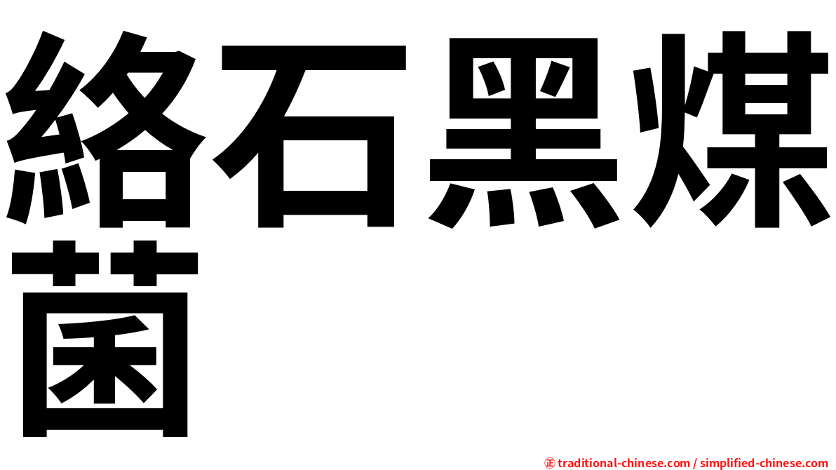 絡石黑煤菌