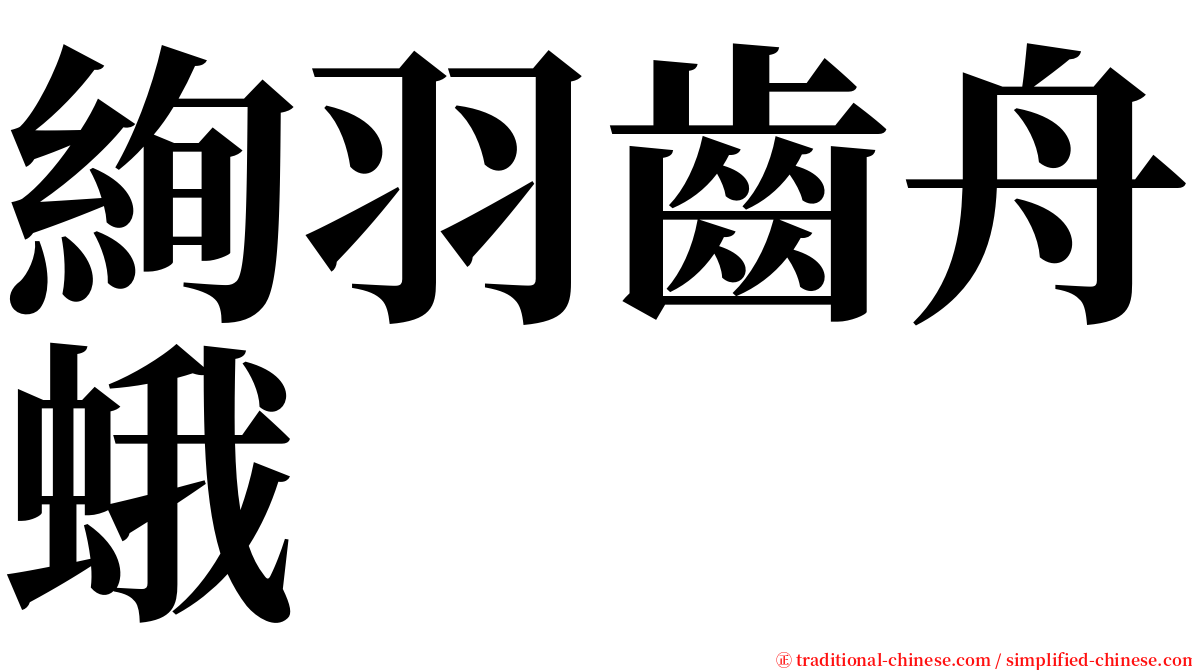 絢羽齒舟蛾 serif font