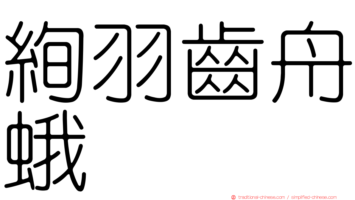 絢羽齒舟蛾