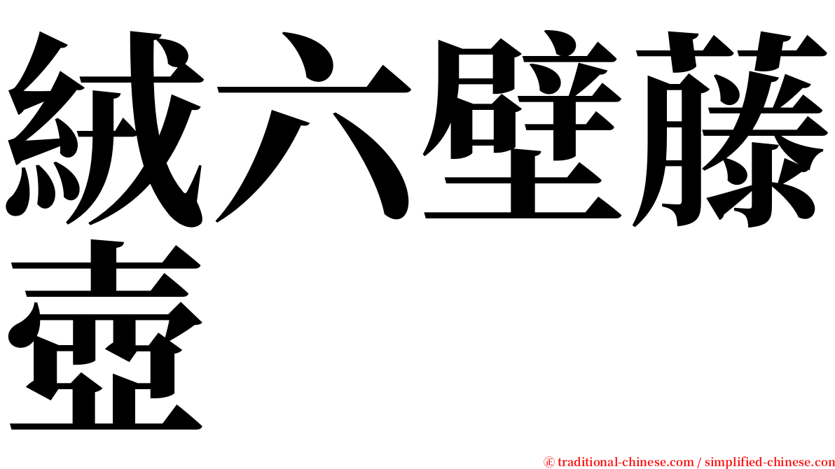 絨六壁藤壺 serif font