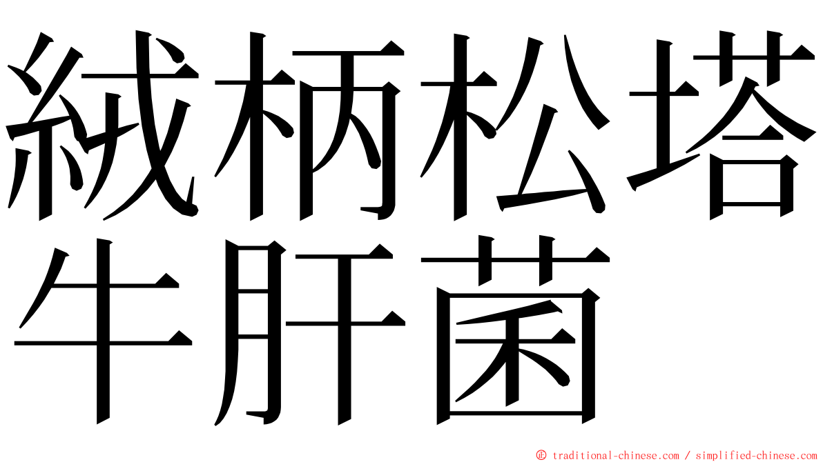 絨柄松塔牛肝菌 ming font