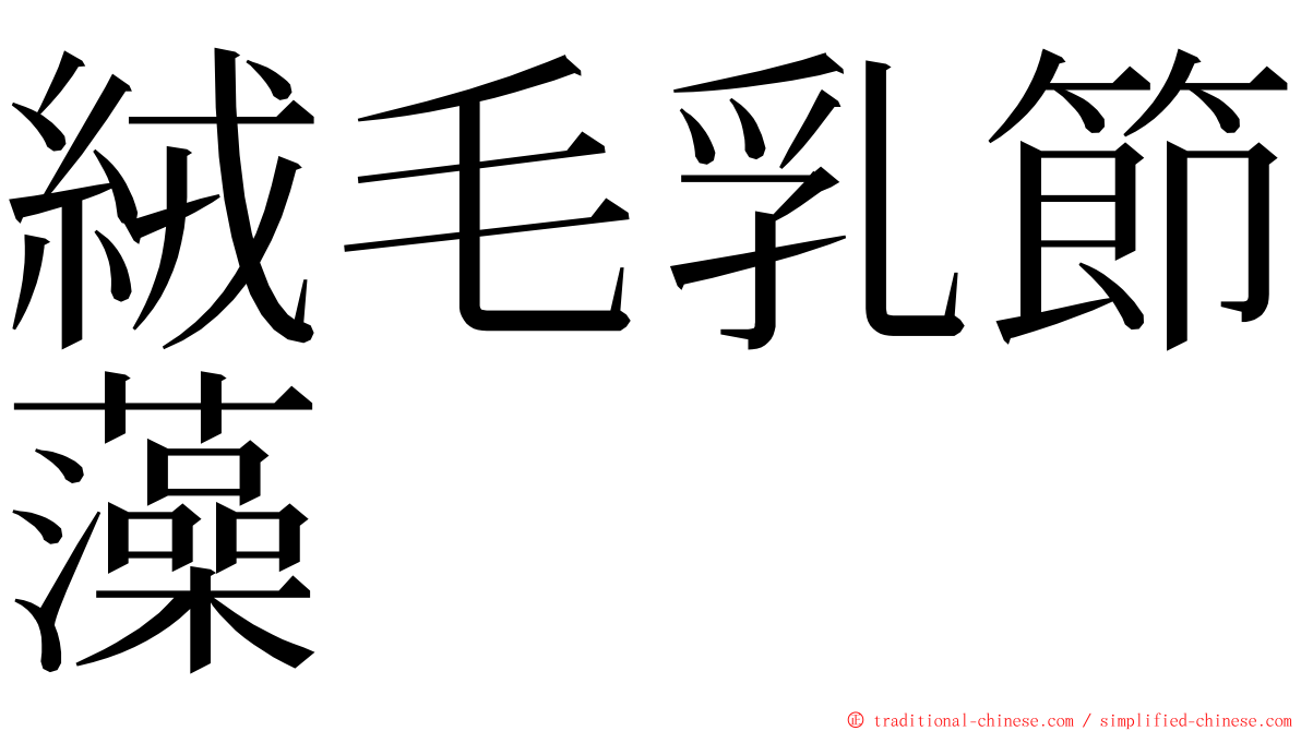 絨毛乳節藻 ming font