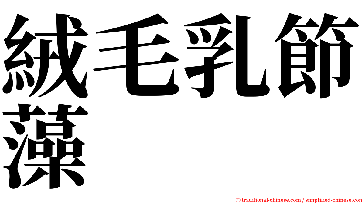 絨毛乳節藻 serif font