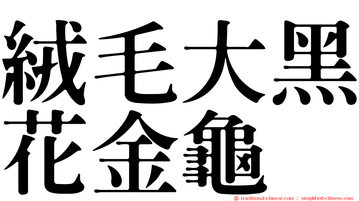 絨毛大黑花金龜