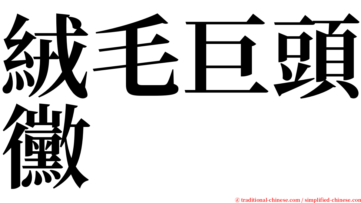 絨毛巨頭黴 serif font