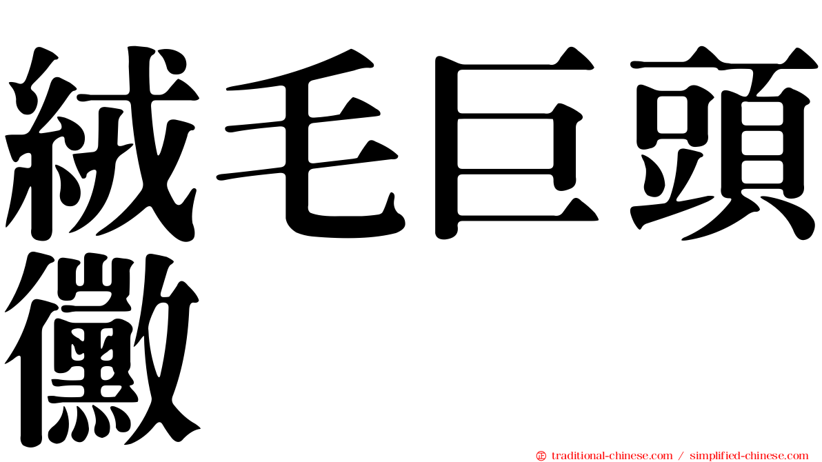 絨毛巨頭黴