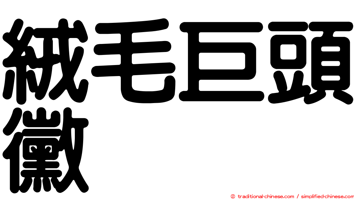 絨毛巨頭黴