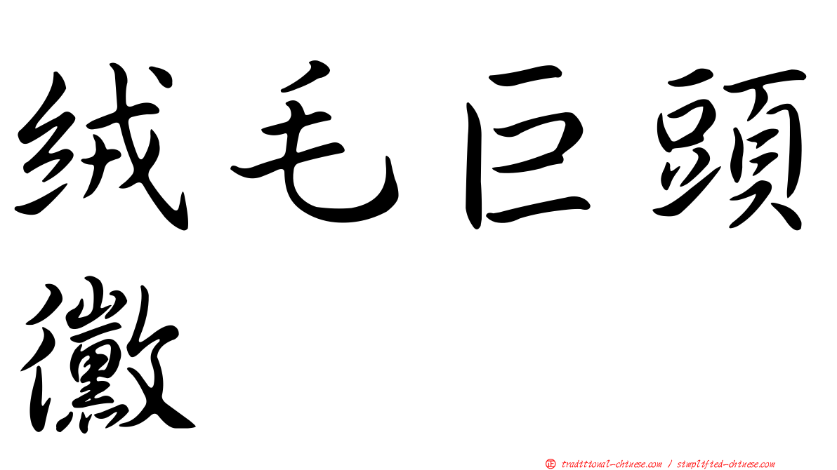 絨毛巨頭黴