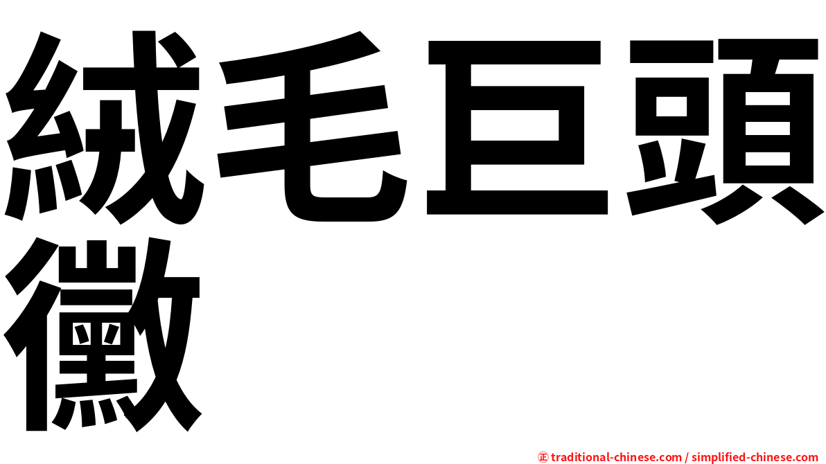 絨毛巨頭黴