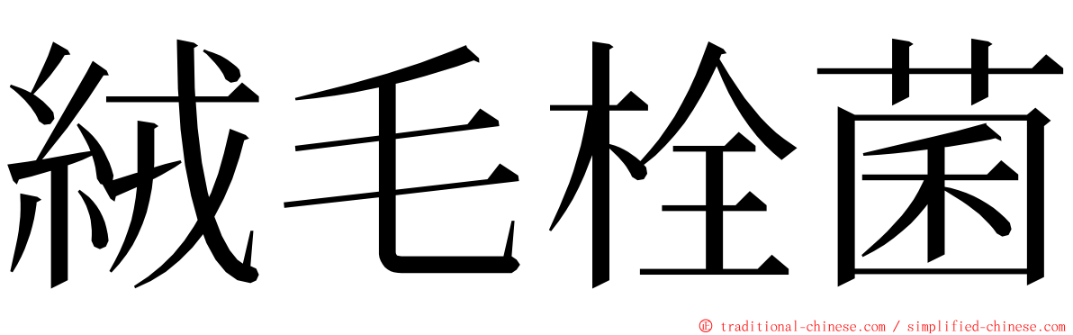 絨毛栓菌 ming font