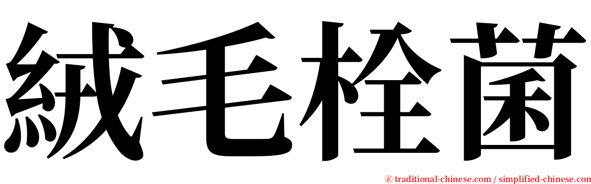 絨毛栓菌 serif font