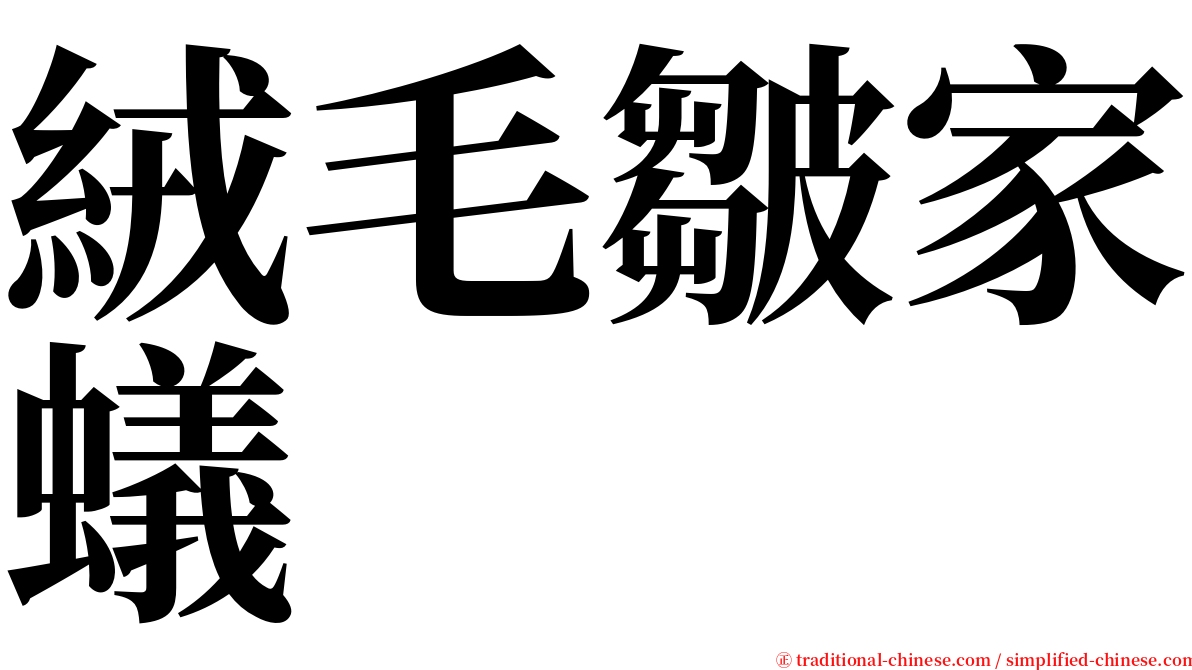 絨毛皺家蟻 serif font