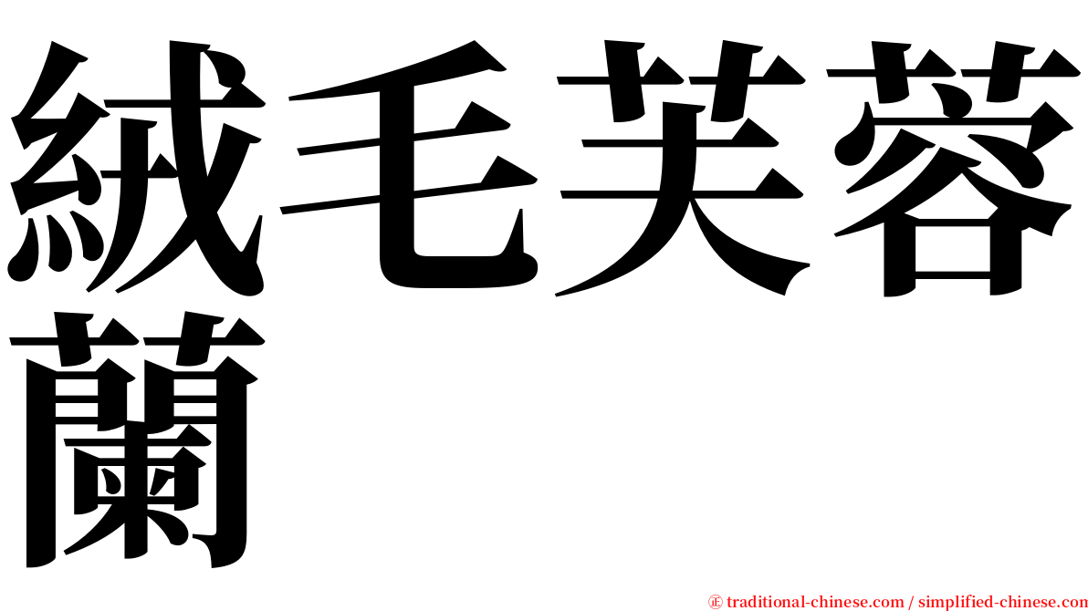 絨毛芙蓉蘭 serif font