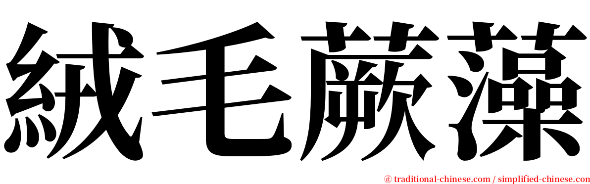 絨毛蕨藻 serif font