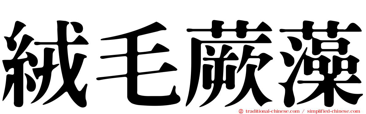 絨毛蕨藻