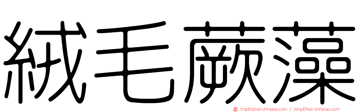 絨毛蕨藻