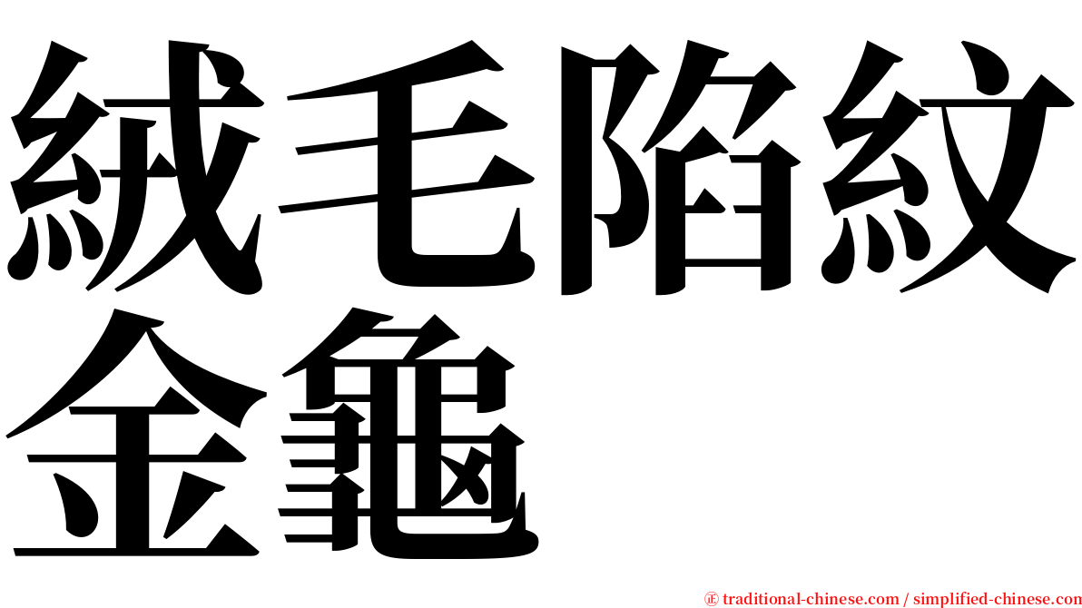 絨毛陷紋金龜 serif font