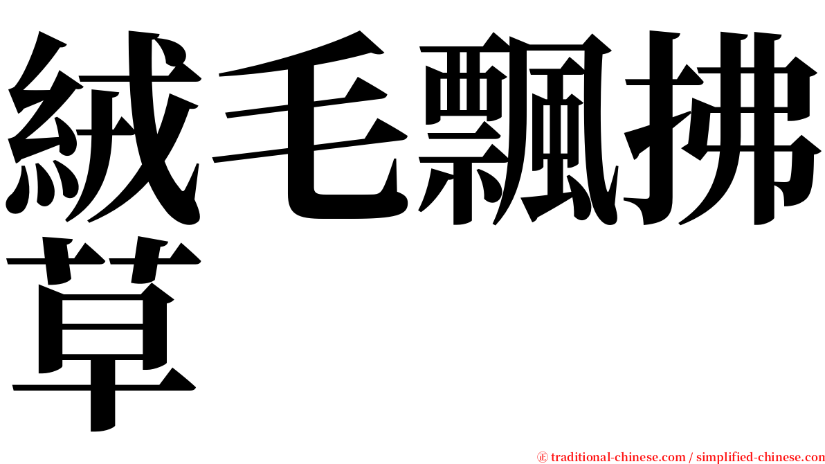 絨毛飄拂草 serif font